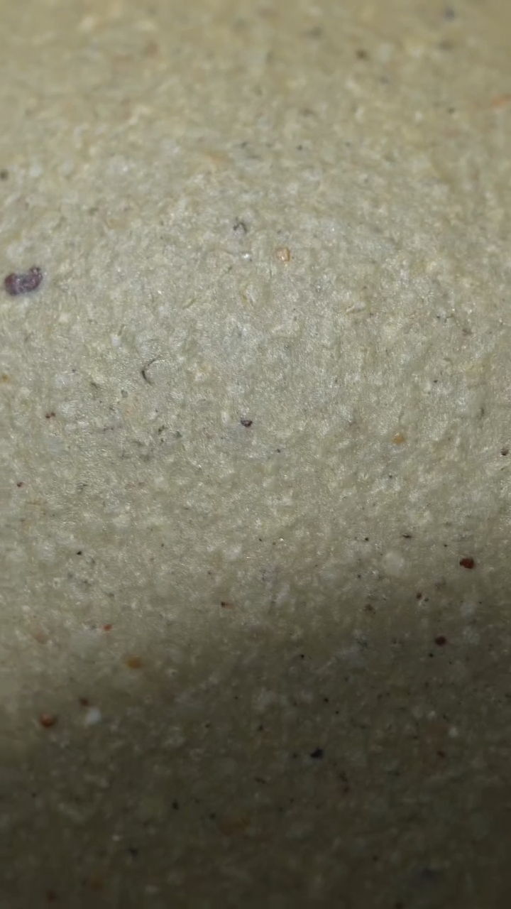 【闪购商品】紫砂茶壶自营福利本绿仿古