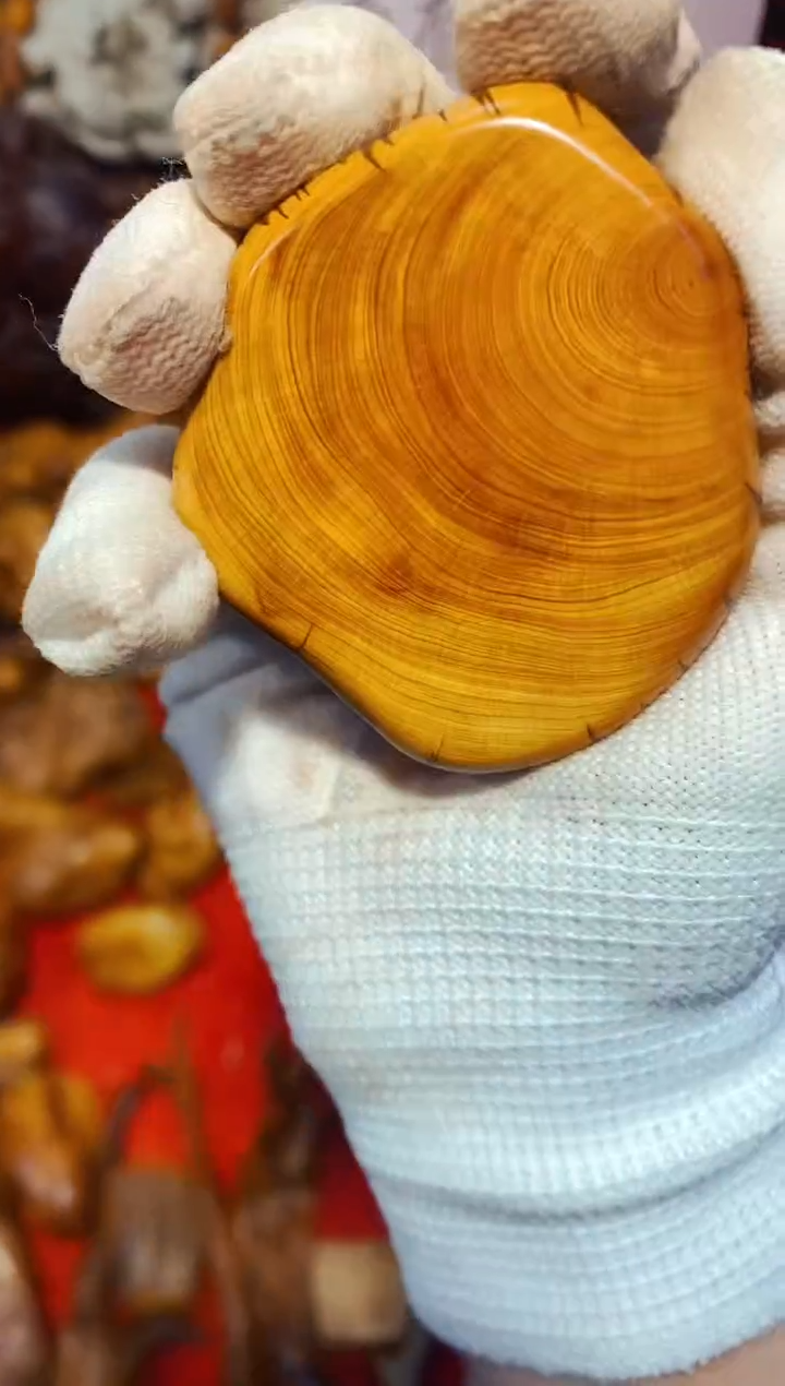 柏木（崖柏）66北太行崖柏陈化手把件手串