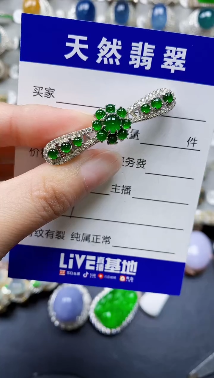 翡翠银S925镶嵌颈饰0111