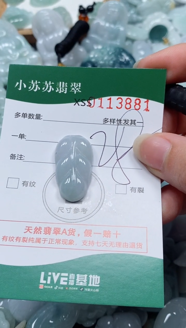 【闪购商品】翡翠未镶嵌颈饰闪购商品0113881