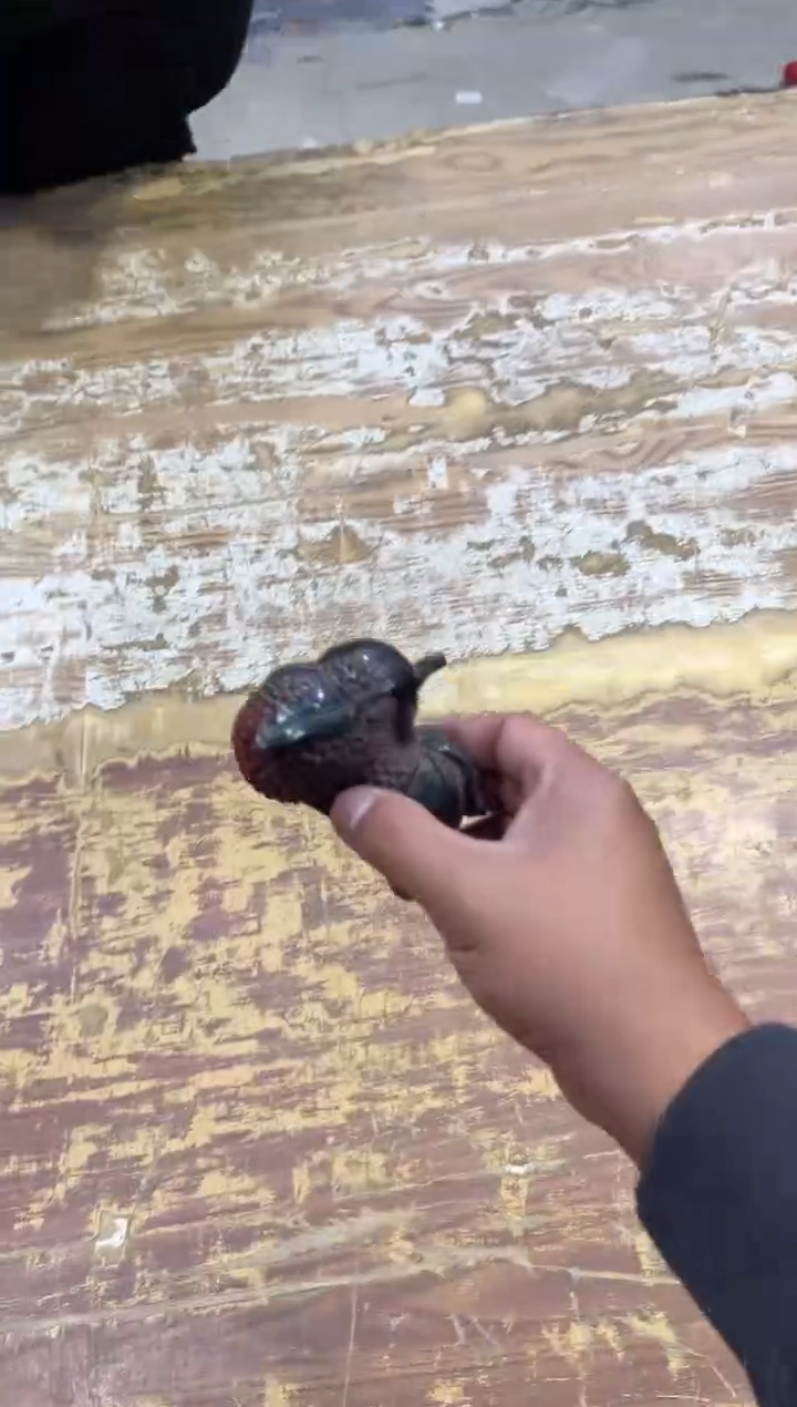 【闪购商品】摆件有仓库清仓随便清