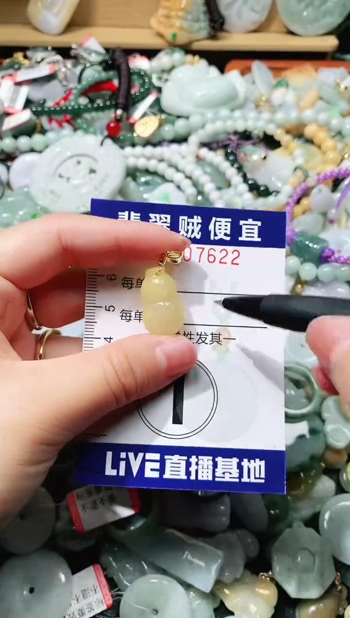 【闪购商品】翡翠颈饰未镶嵌闪购0007622