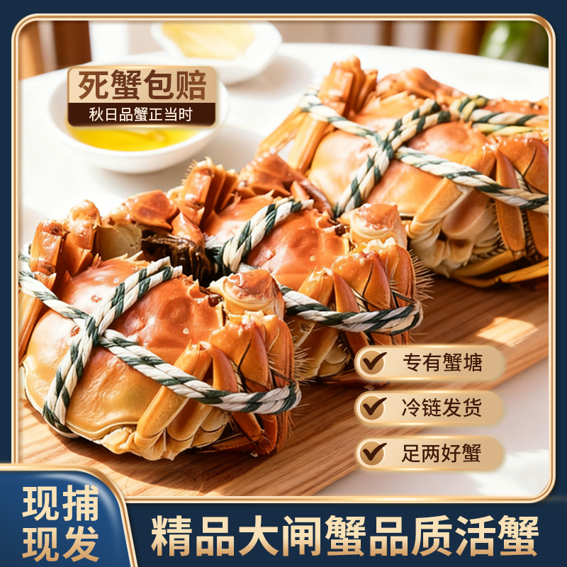 【活蟹】2..7两-2..4两 8+2只全母苏州精品大闸蟹 鲜活现捞包邮上门