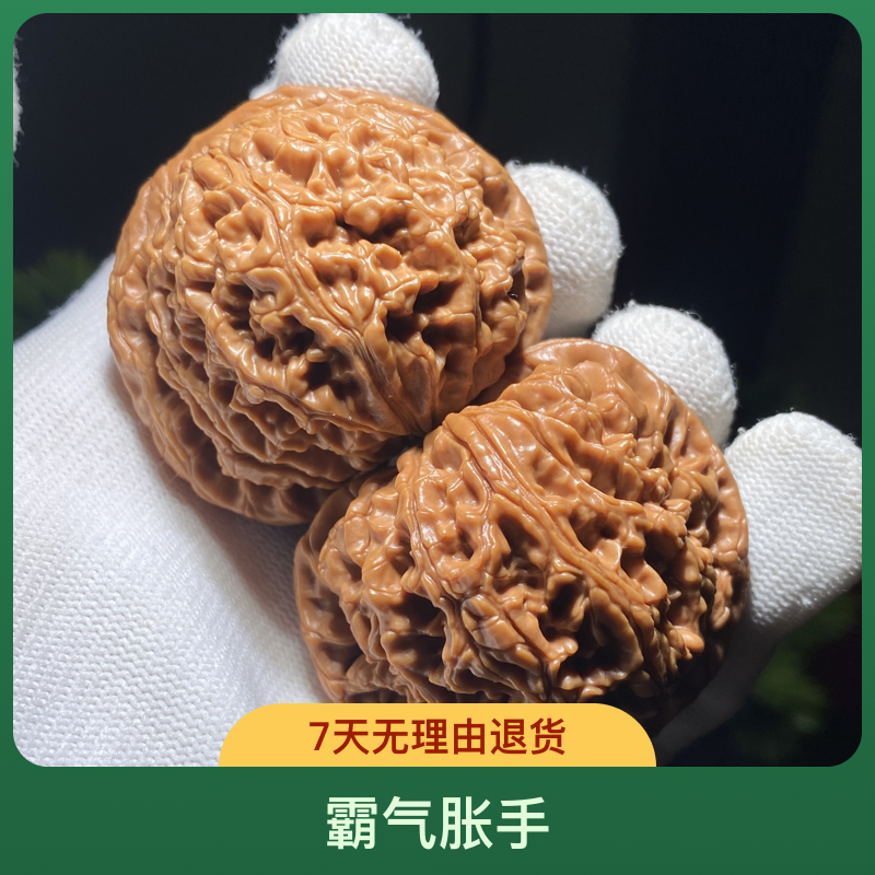 大水龙纹狮子头 全品精配 骨质密度高 皮色红润 藏品品质 推荐款