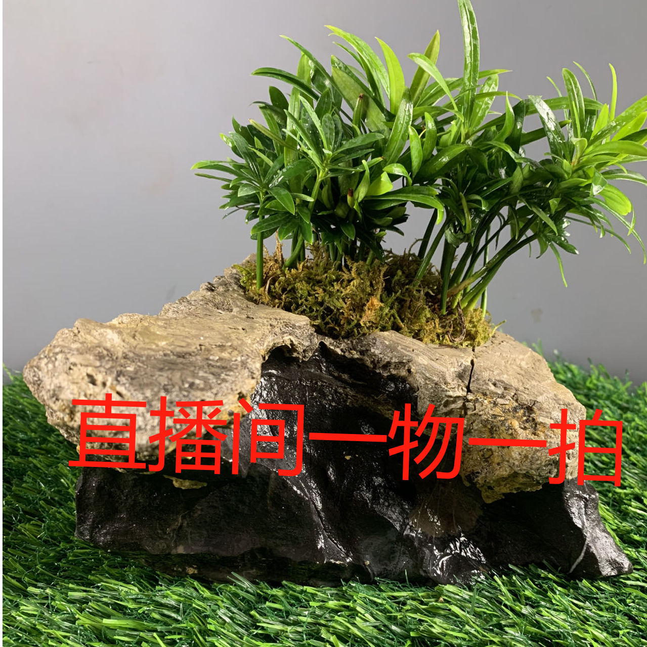 石头吸水石奇石花盆鱼缸烟灰缸家居饰品户外造景玄关摆件石头花盆