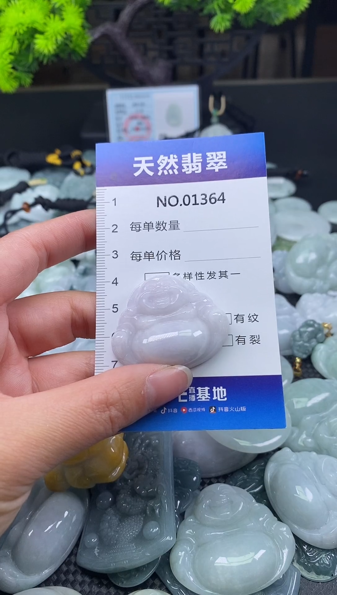 颈饰未镶嵌翡翠天然缅甸翡翠1364