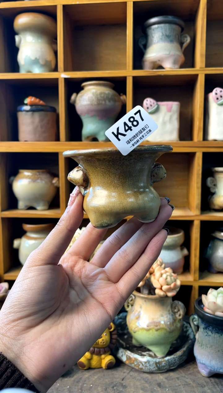 497内口7.5【多肉花盆多肉盆】