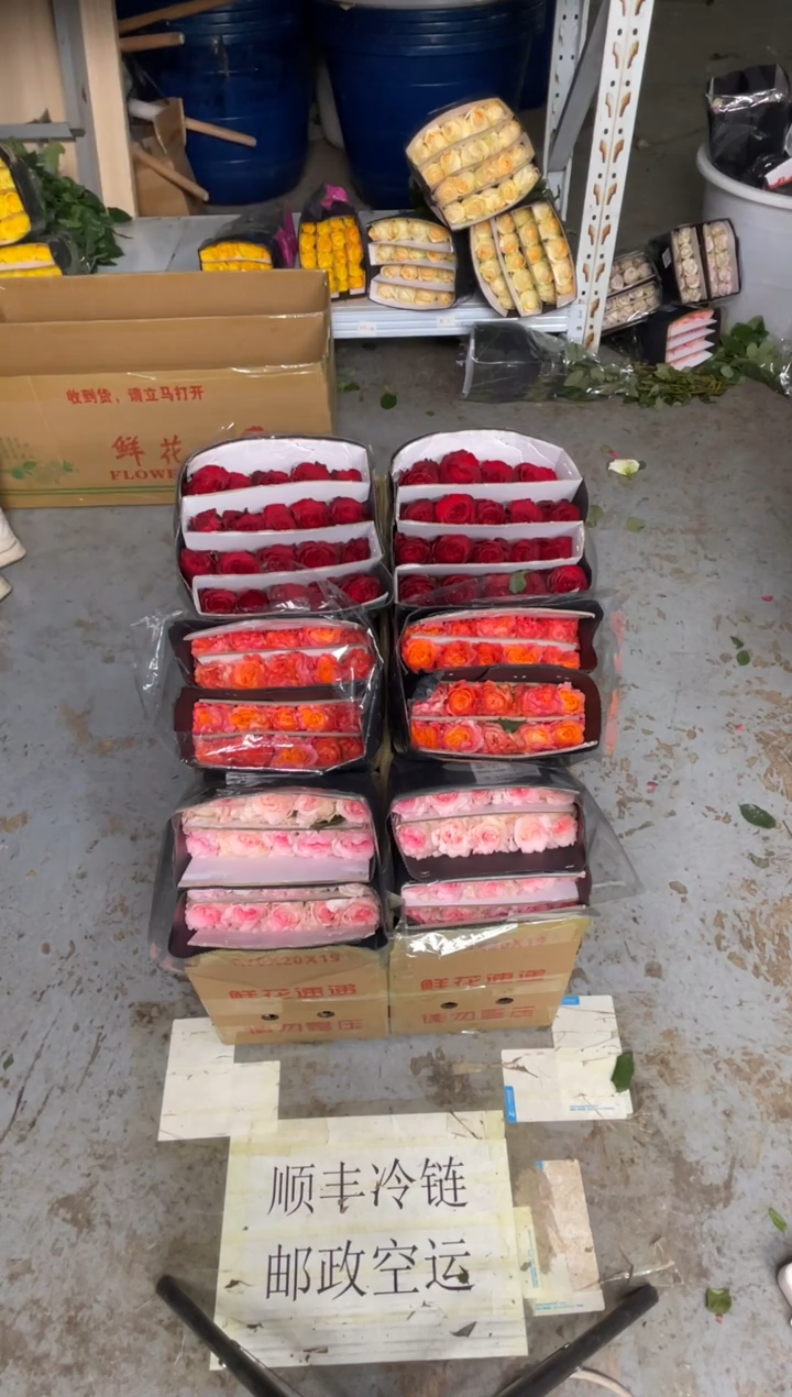 洛神20枝+高原红20枝+火灵鸟20枝