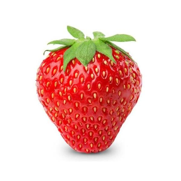 【当季水果】99香梅 草莓辽宁省