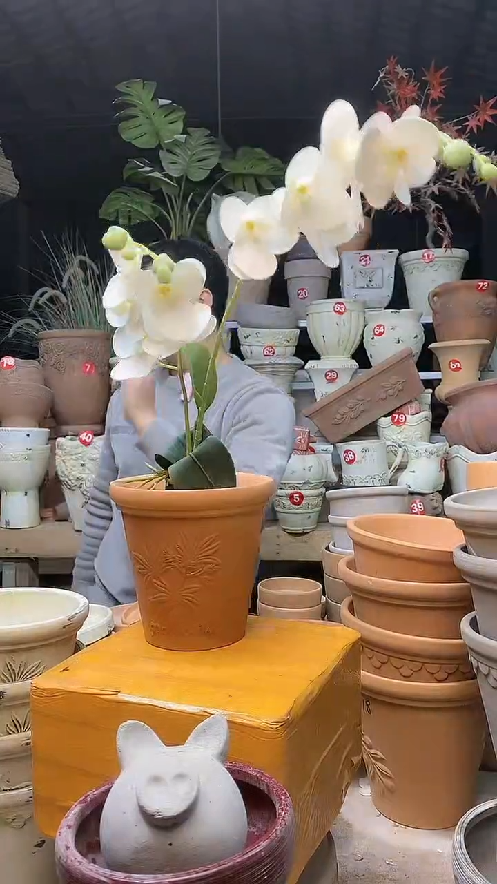 【闪购商品】缸1个16*15红陶香草陶无托无托