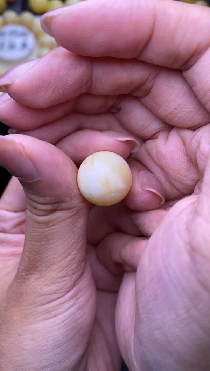 裸石琥珀未镶嵌16.7mm+大小姐珠宝67