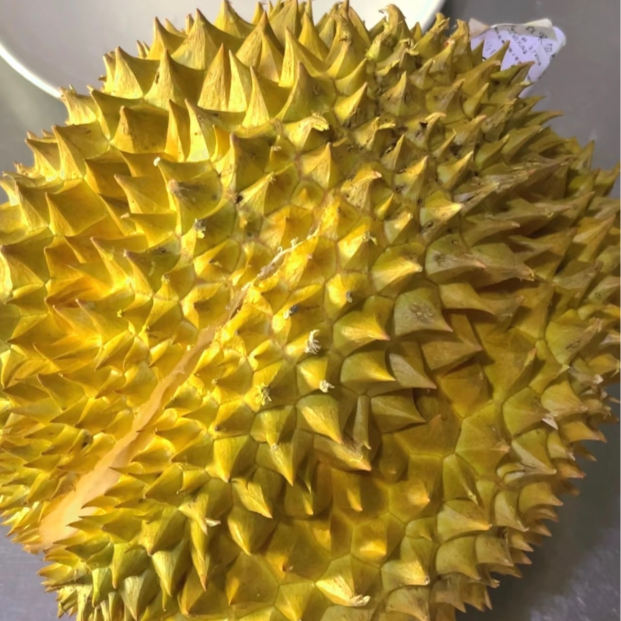 (1号空运树熟）金枕鲜榴莲（1500-4000g）核小榴莲小时达金枕泰国