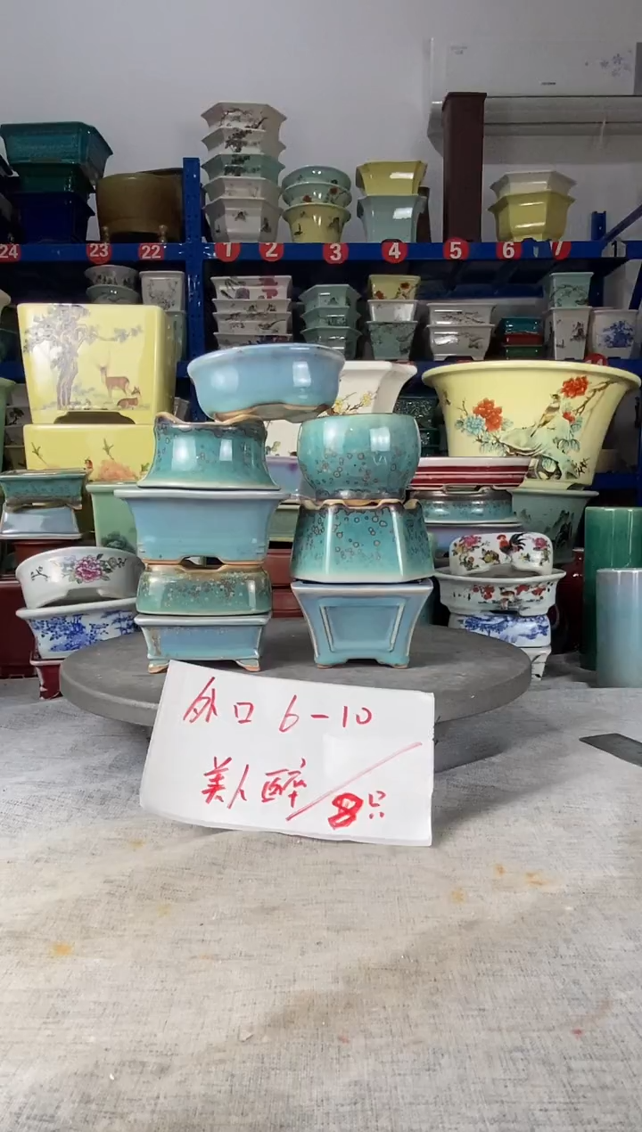 25716八只美人醉小花盆