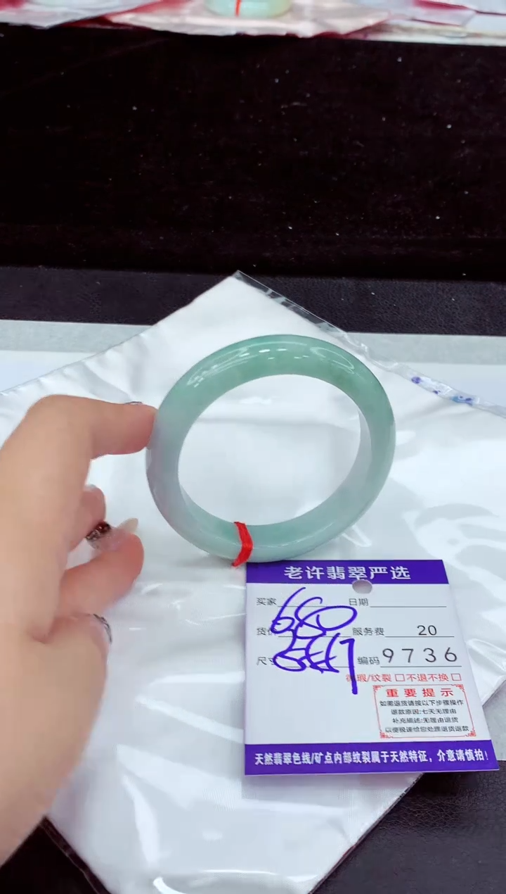 未镶嵌手镯翡翠11