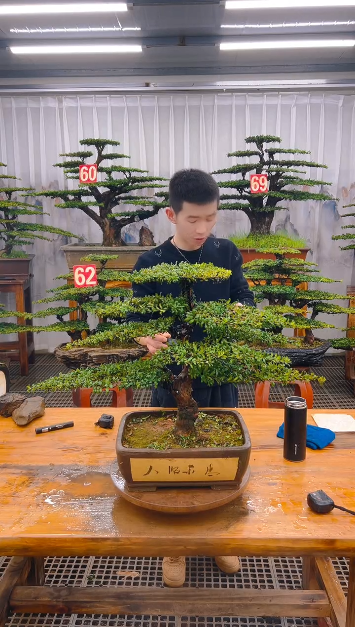 【闪购商品】紫砂精品盆景直播间一物一拍