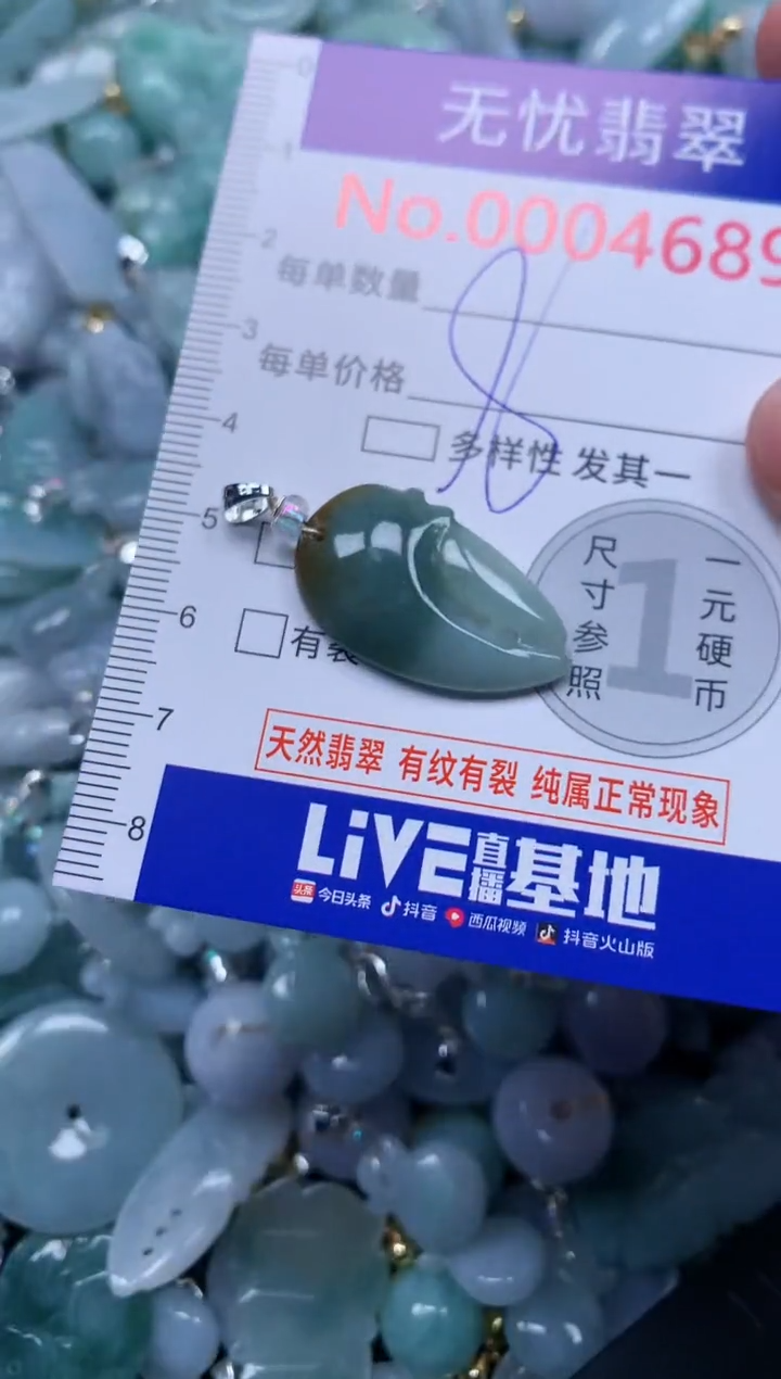 颈饰未镶嵌翡翠4689
