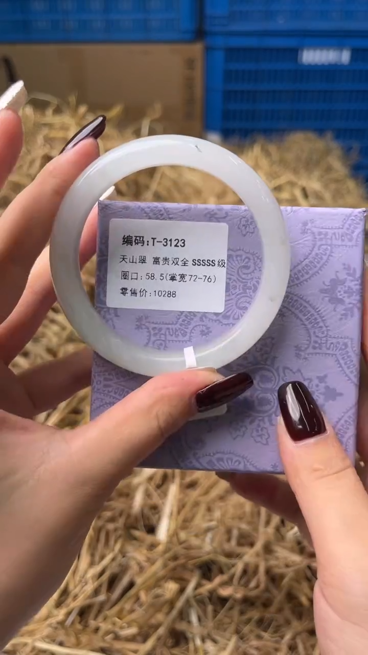 未镶嵌手镯石英质玉T-3123