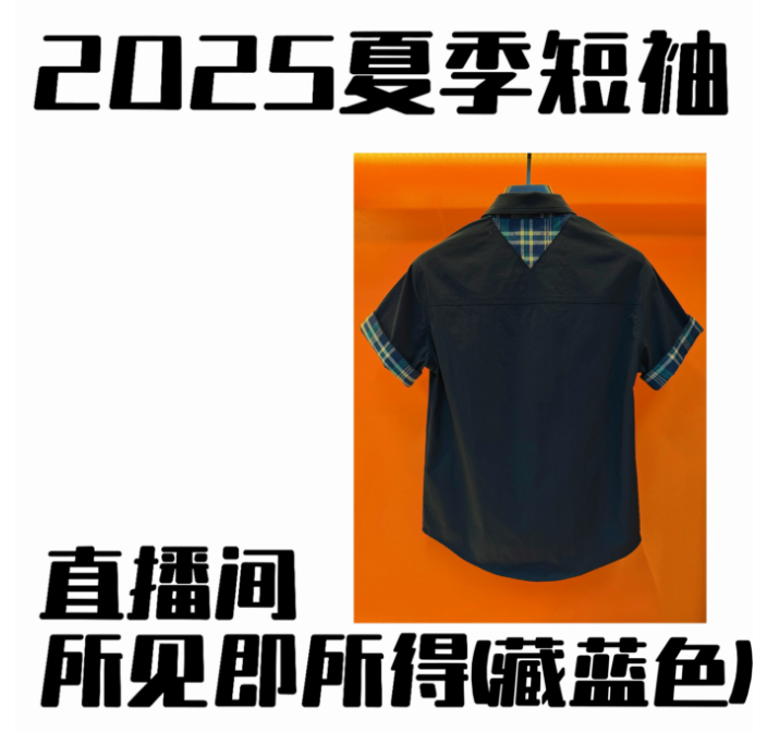 早春新款上新高奢百搭衬衫短袖【小林专属】桦