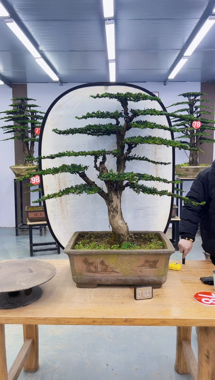 以实际为准0000000