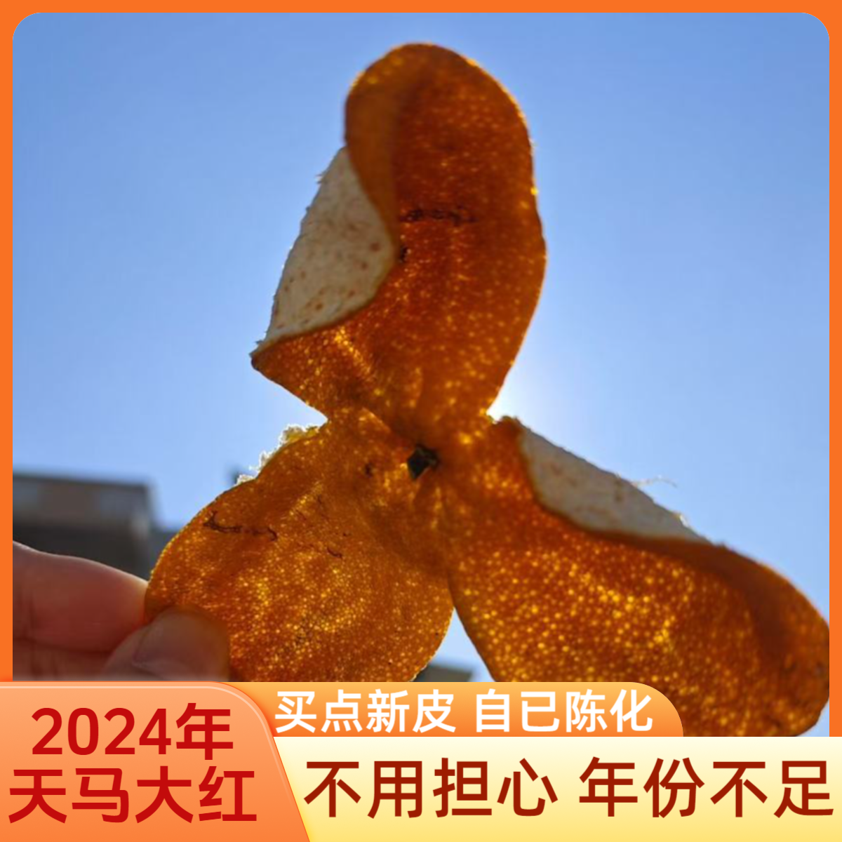 新会天马圈枝9年树陈皮2024年大红正宗茶枝柑自然生晒陈皮茶