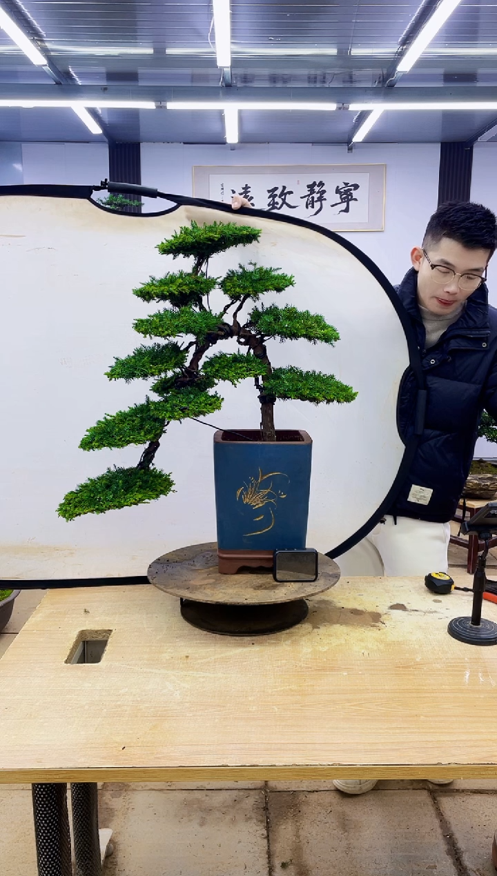 无花朵?00000000000000000000