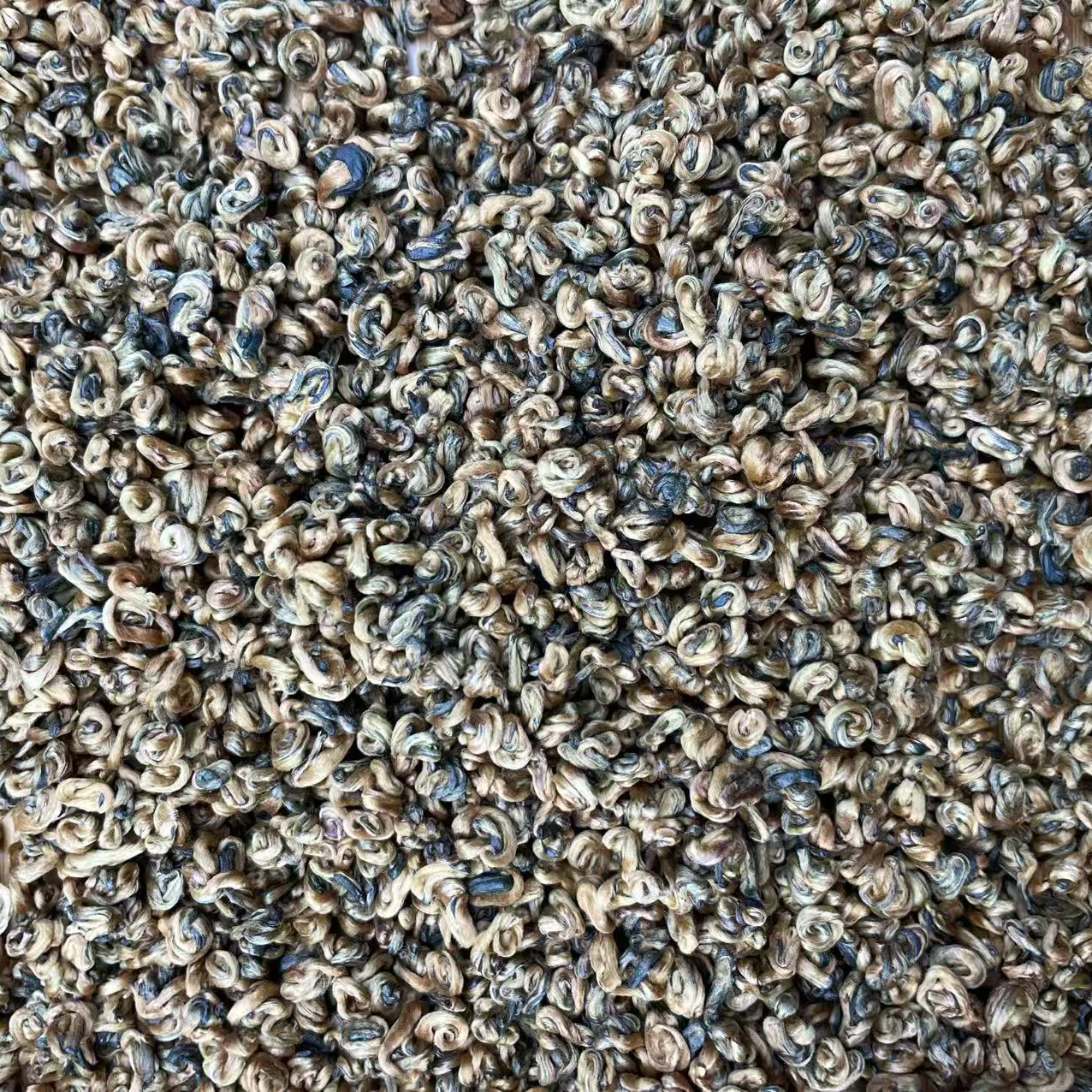 【12月25日】【MK0254】  2025年凤庆《小奶螺滇红》滇红春茶散茶