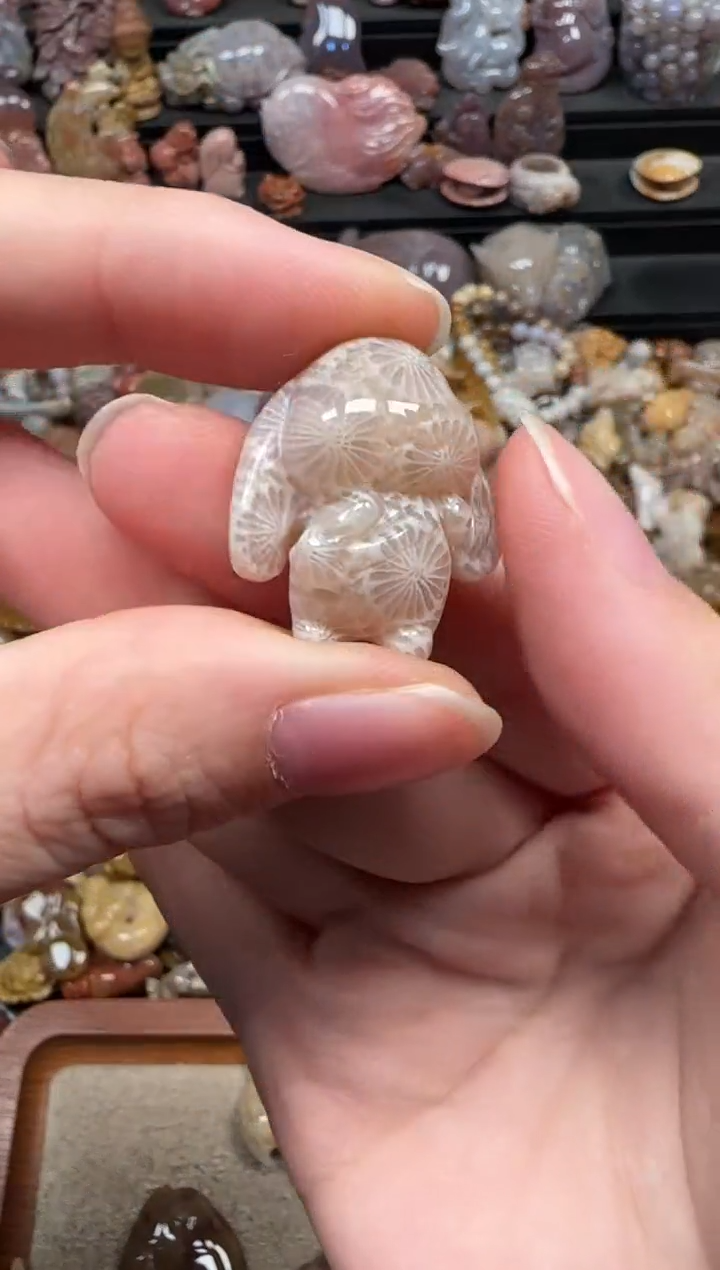 颈饰未镶嵌硅化珊瑚（珊瑚玉）123