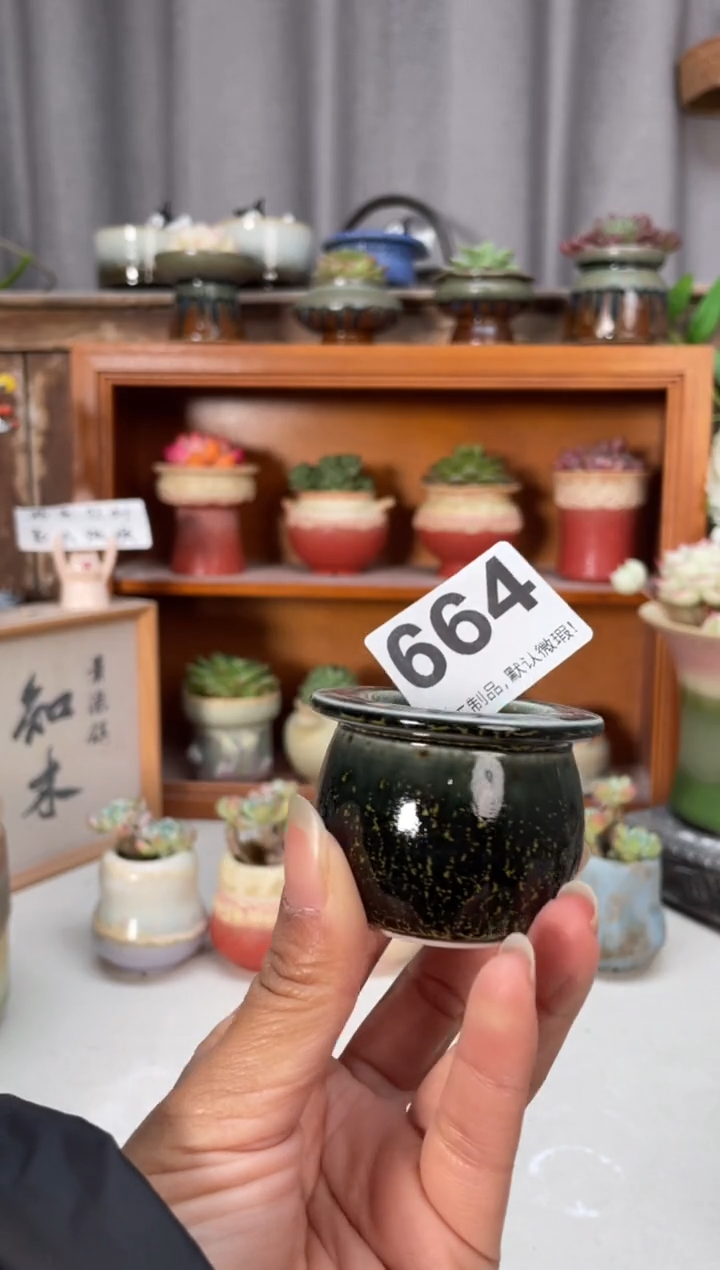 瓷片664小芳直播编号