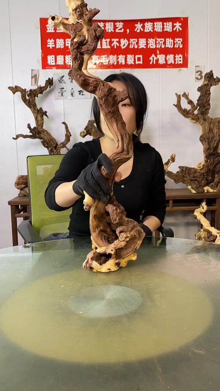 木用****5金丝红木  羊蹄甲