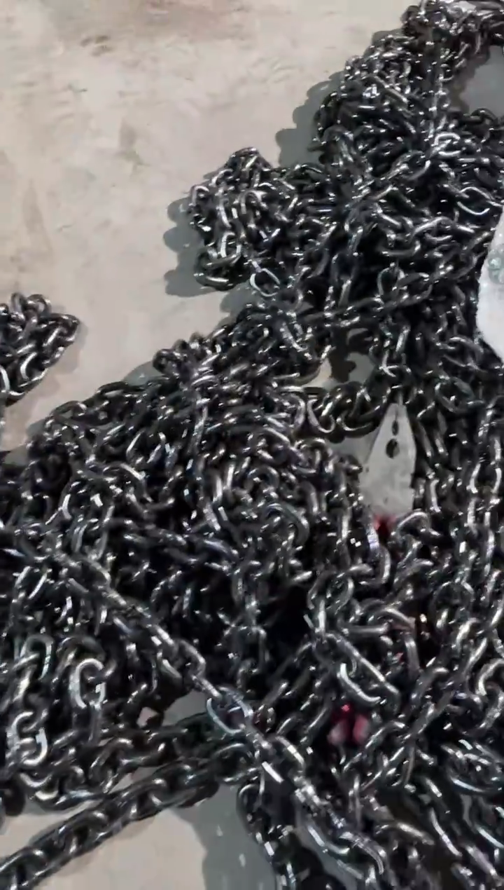 G806mm粗6米长链条一根