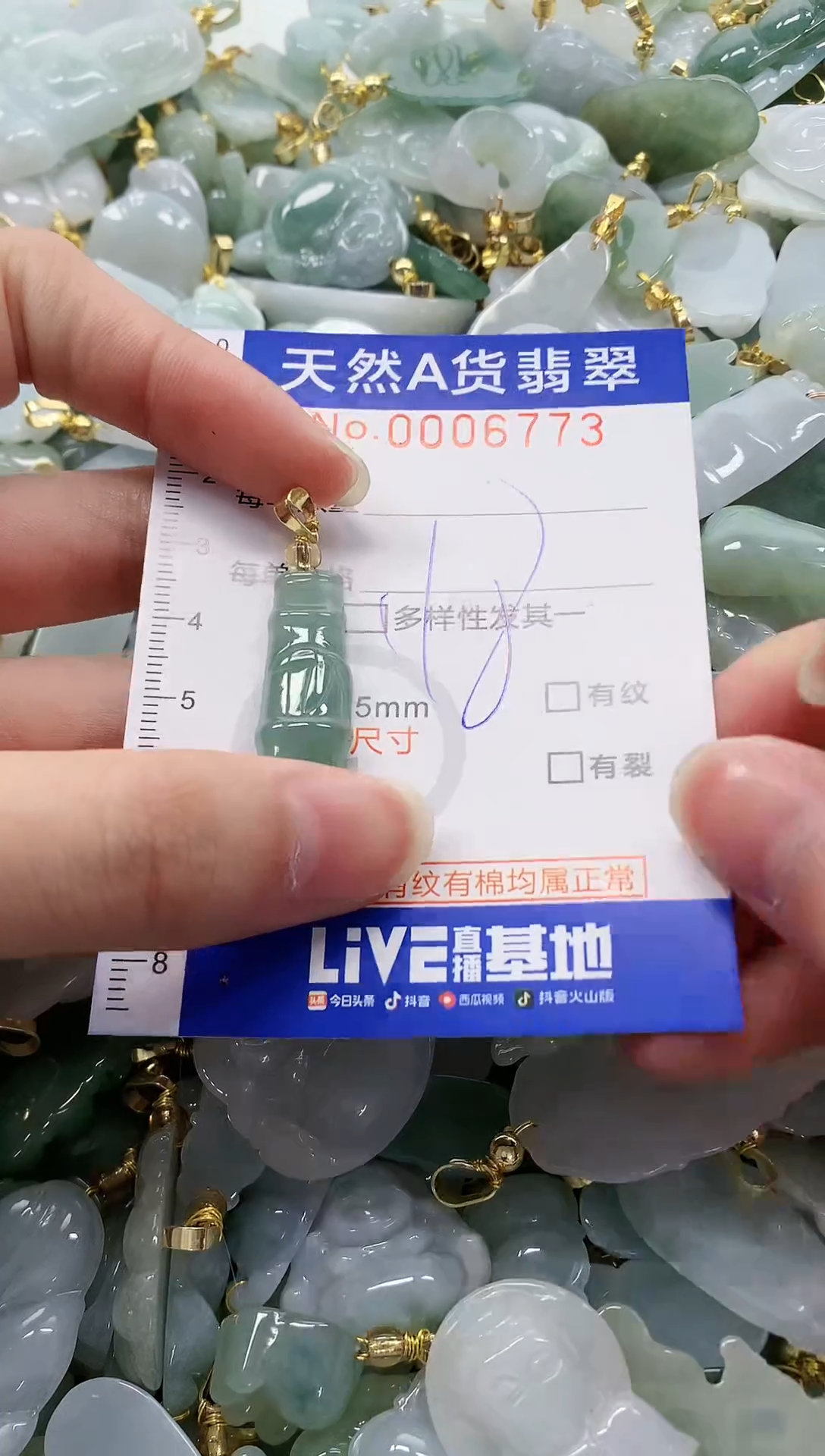 颈饰未镶嵌翡翠纯天然a货翡翠