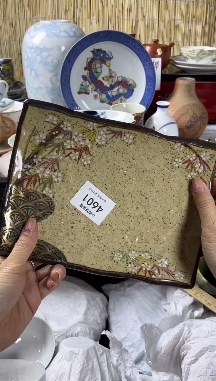 【闪购商品】碟            4601