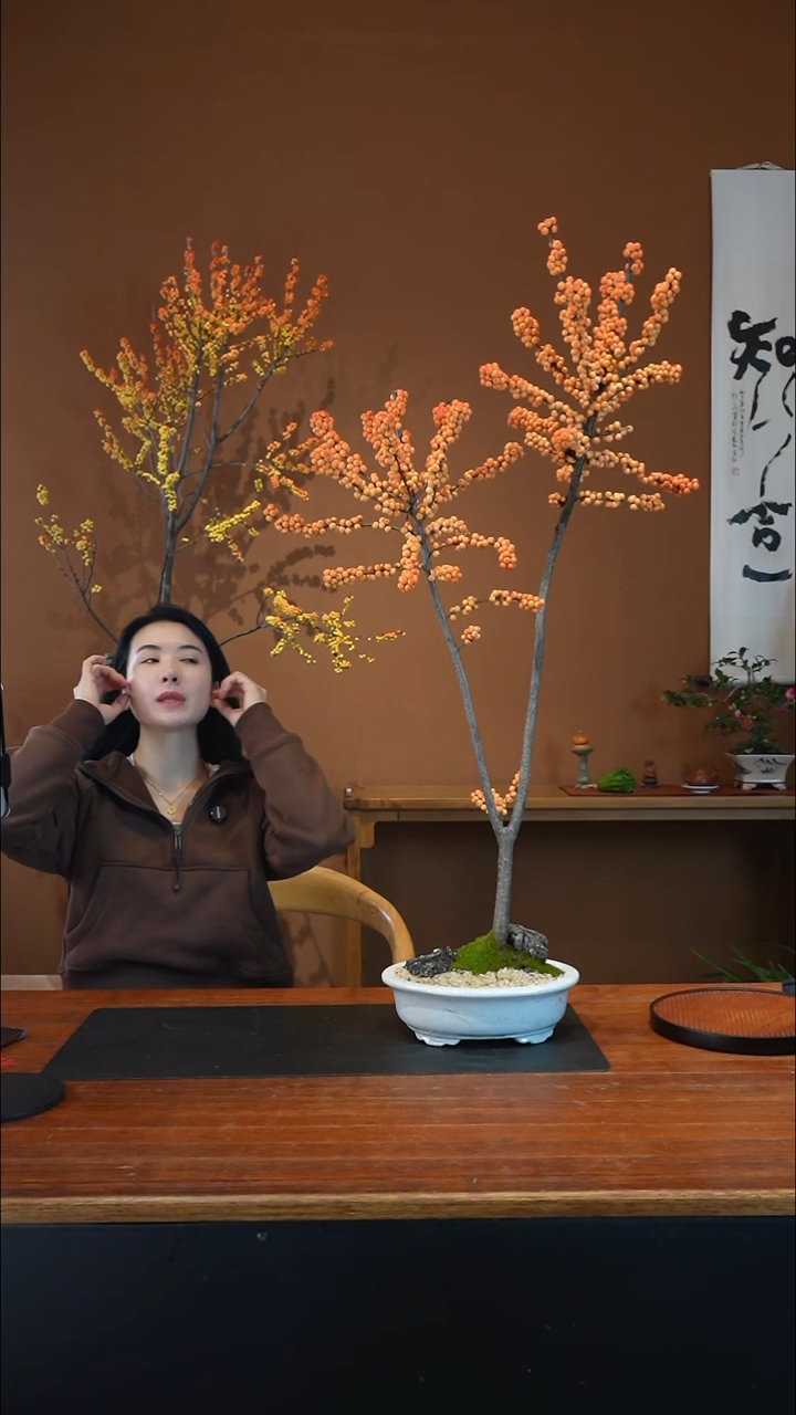 全部花朵冬橙盆景盆景盆景