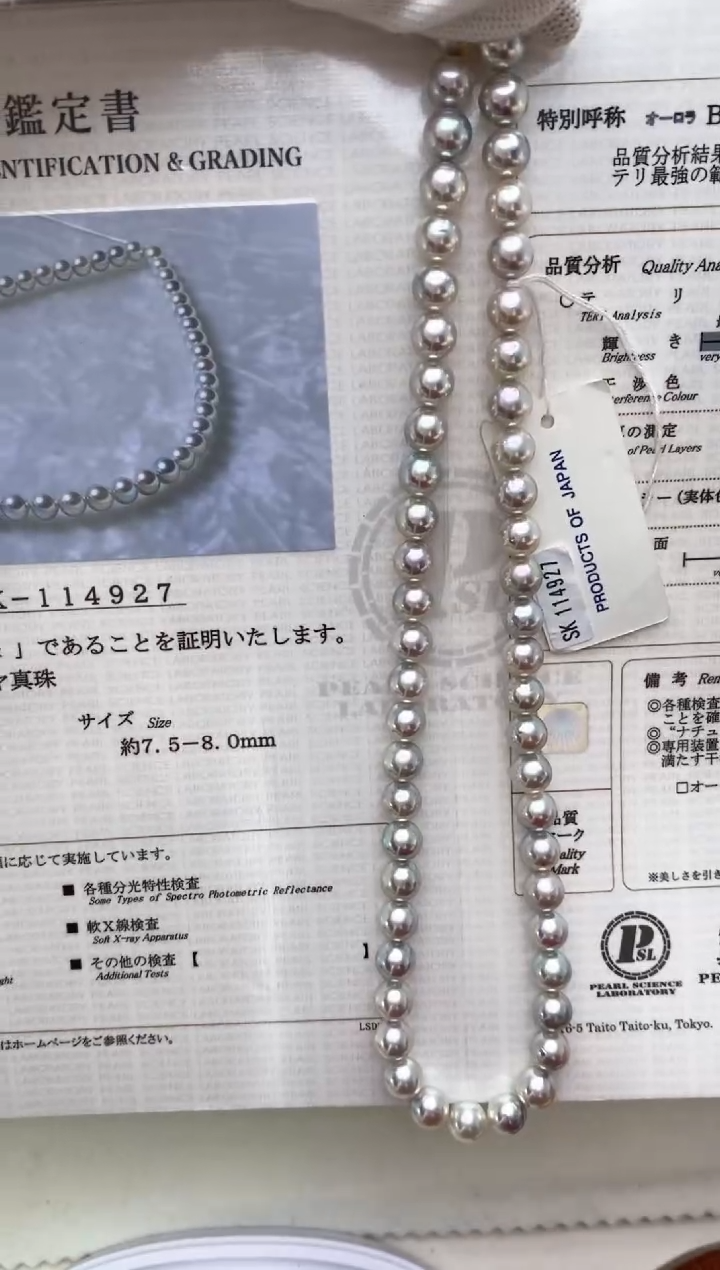 【闪购商品】海水珍珠项链未镶嵌7.5-8mm蓝玫瑰