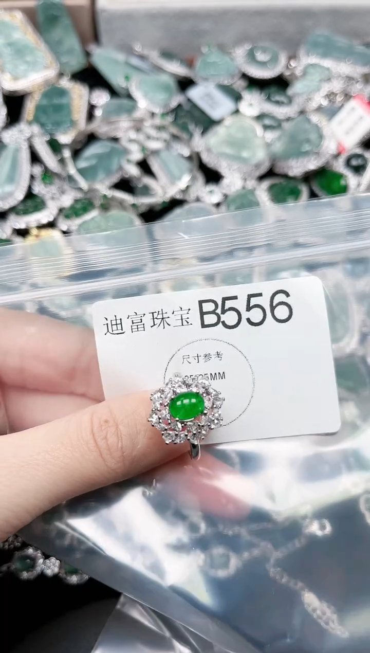 【闪购商品】翡翠颈饰未镶嵌556赠皮绳