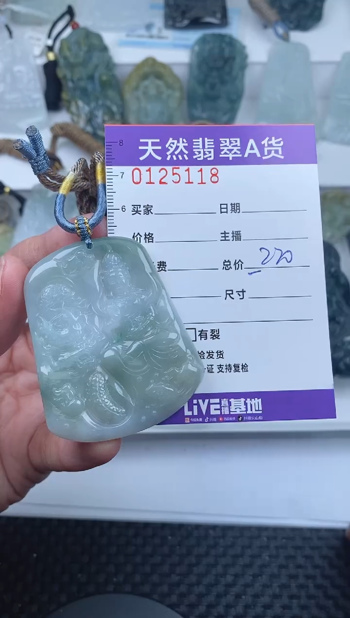 【闪购商品】翡翠颈饰未镶嵌       118