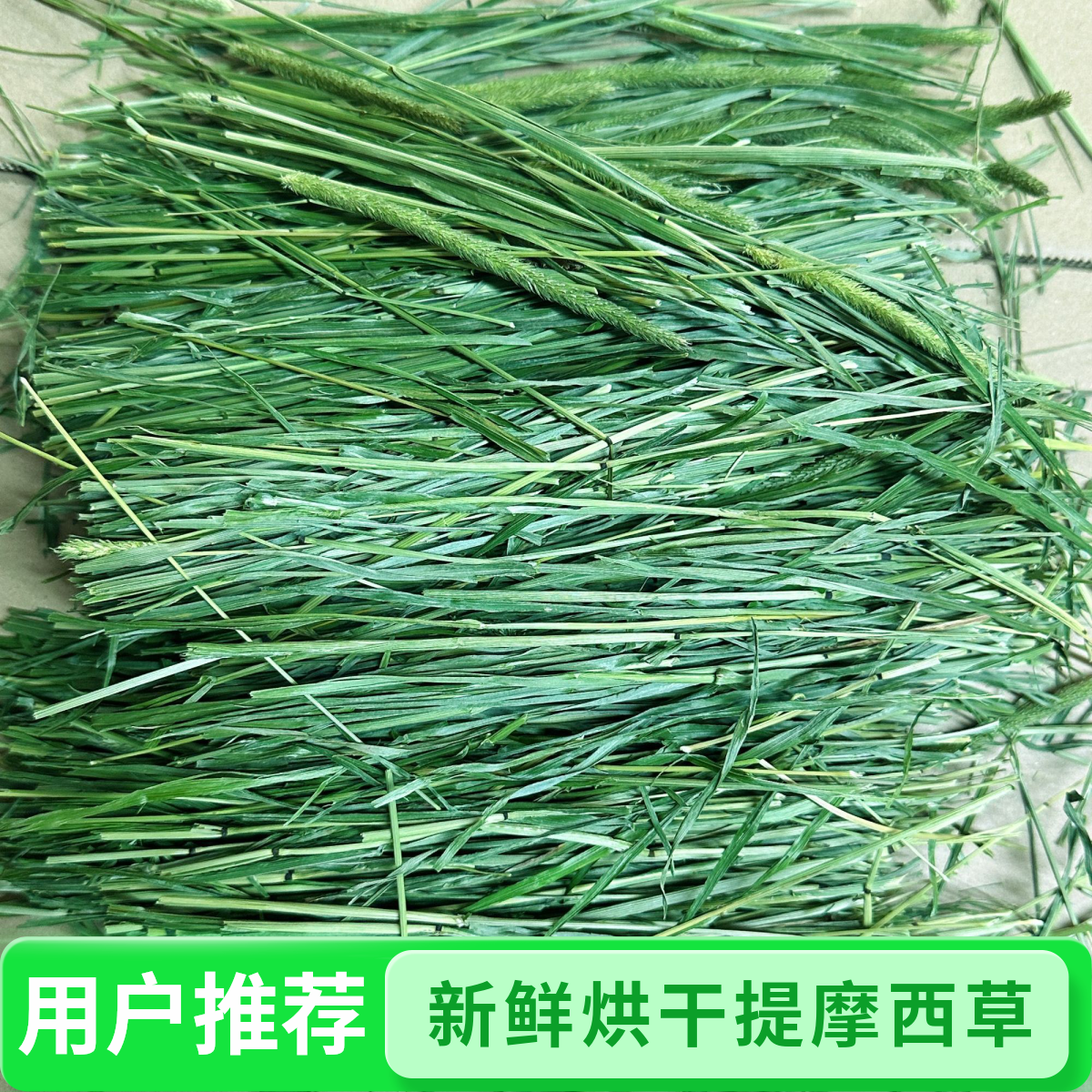 2025年特级烘干有穗提摩西干草北提头茬约1kg今年新草