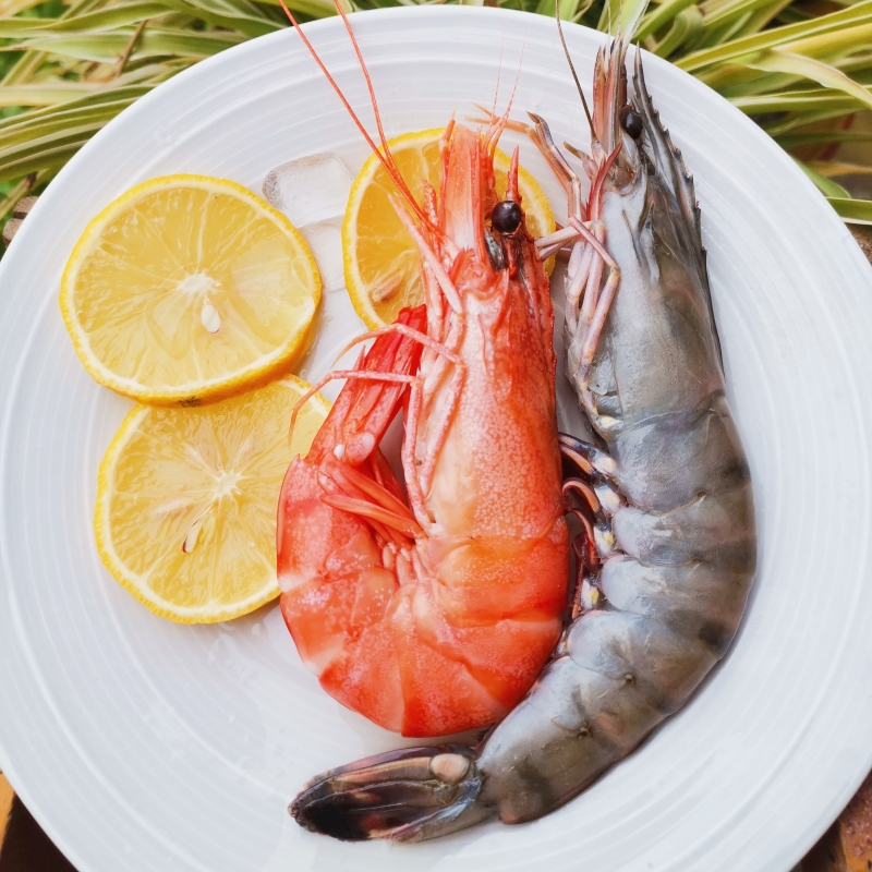 【特A级】3135 黑虎虾活虾速冻 金刚斑节虾 花虾 鬼虾