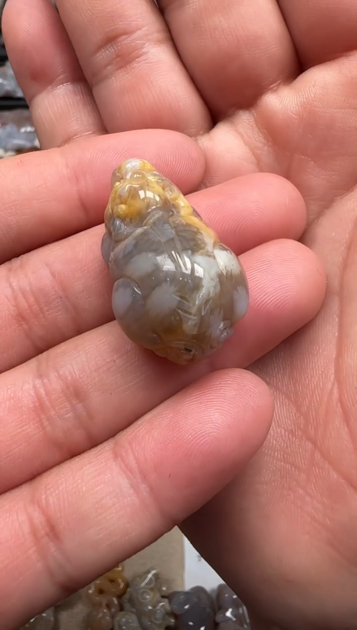 【闪购商品】硅化珊瑚（珊瑚玉）颈饰未镶嵌114