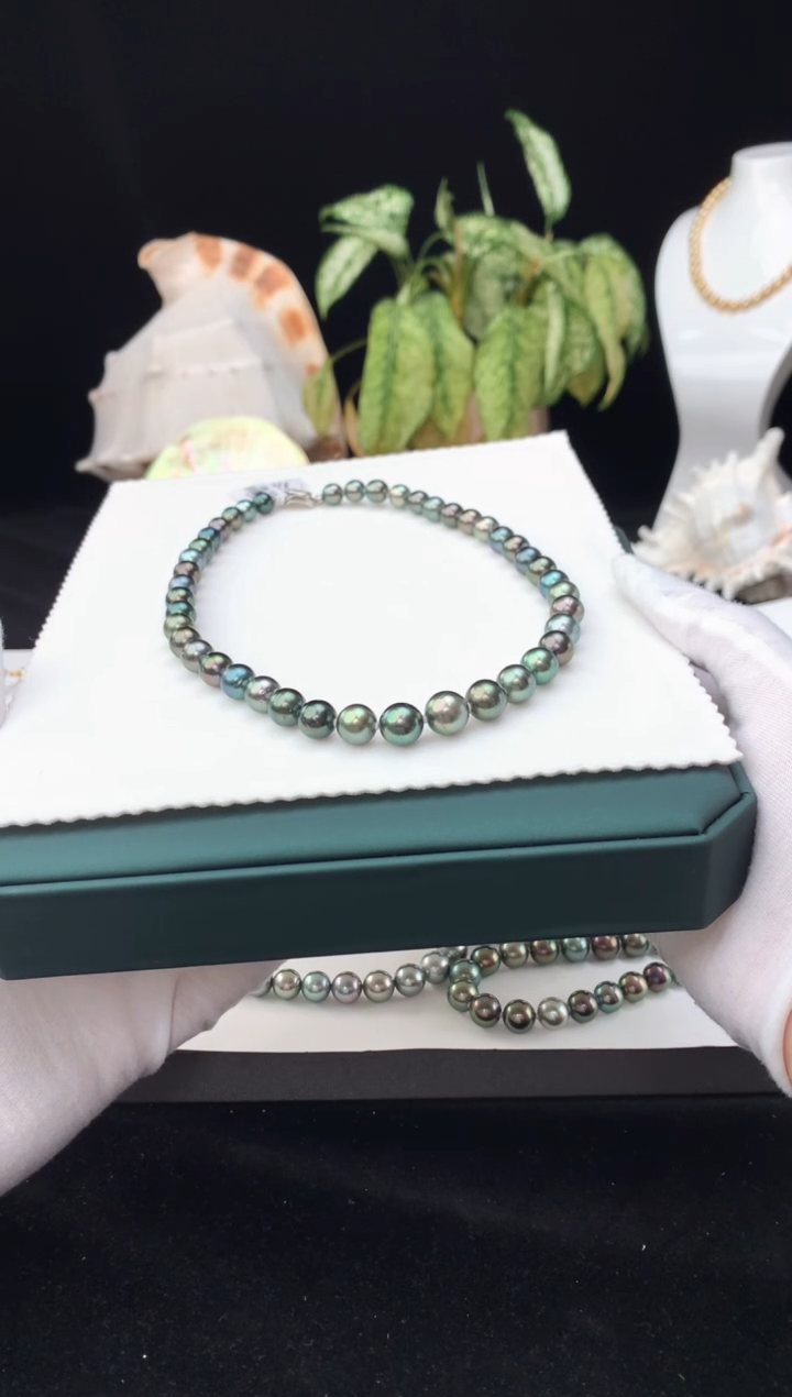 【闪购商品】海水珍珠颈饰银S925镶嵌海水大溪地珍珠项链