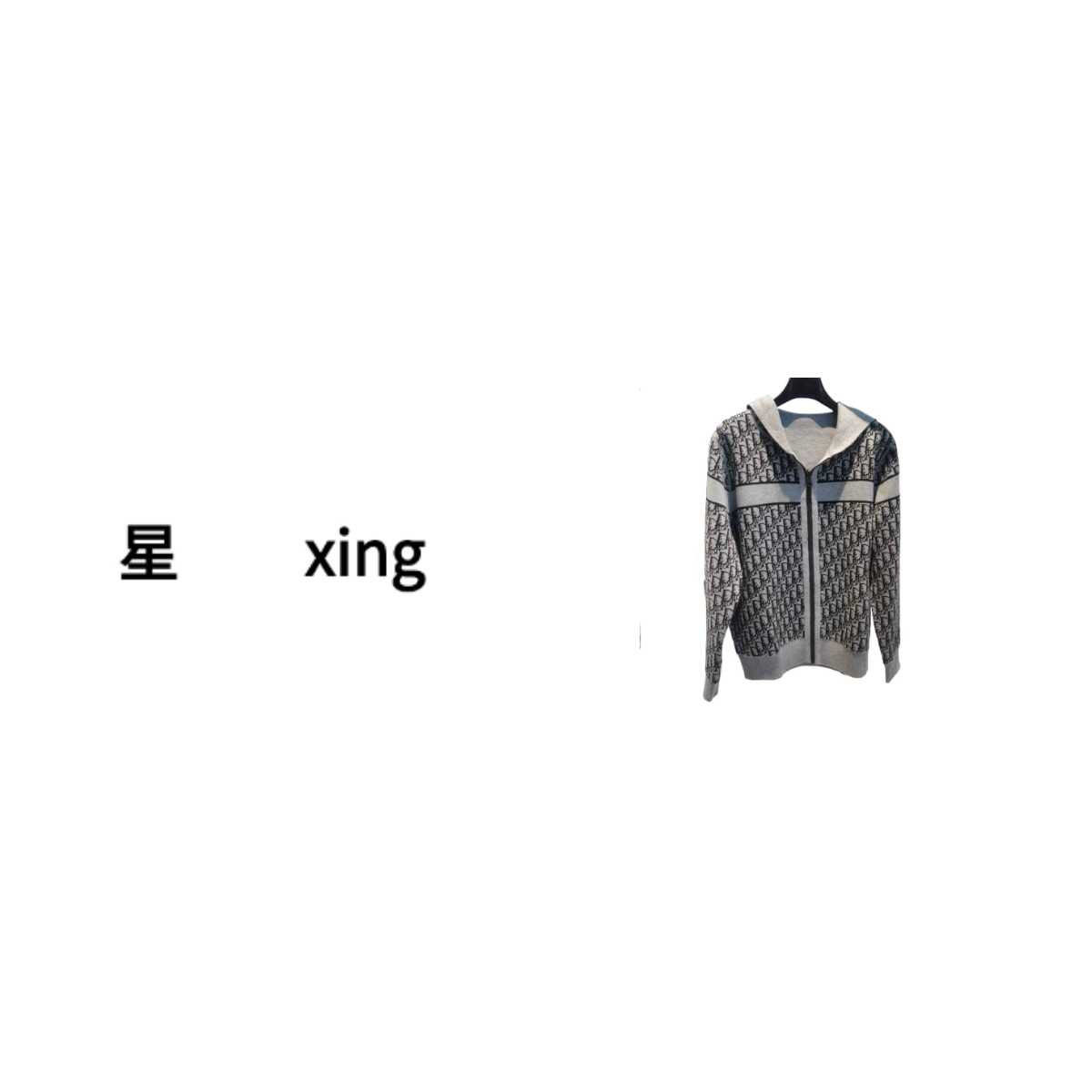 163-（单面）秋冬时尚新款连帽长袖拉链卫衣59094