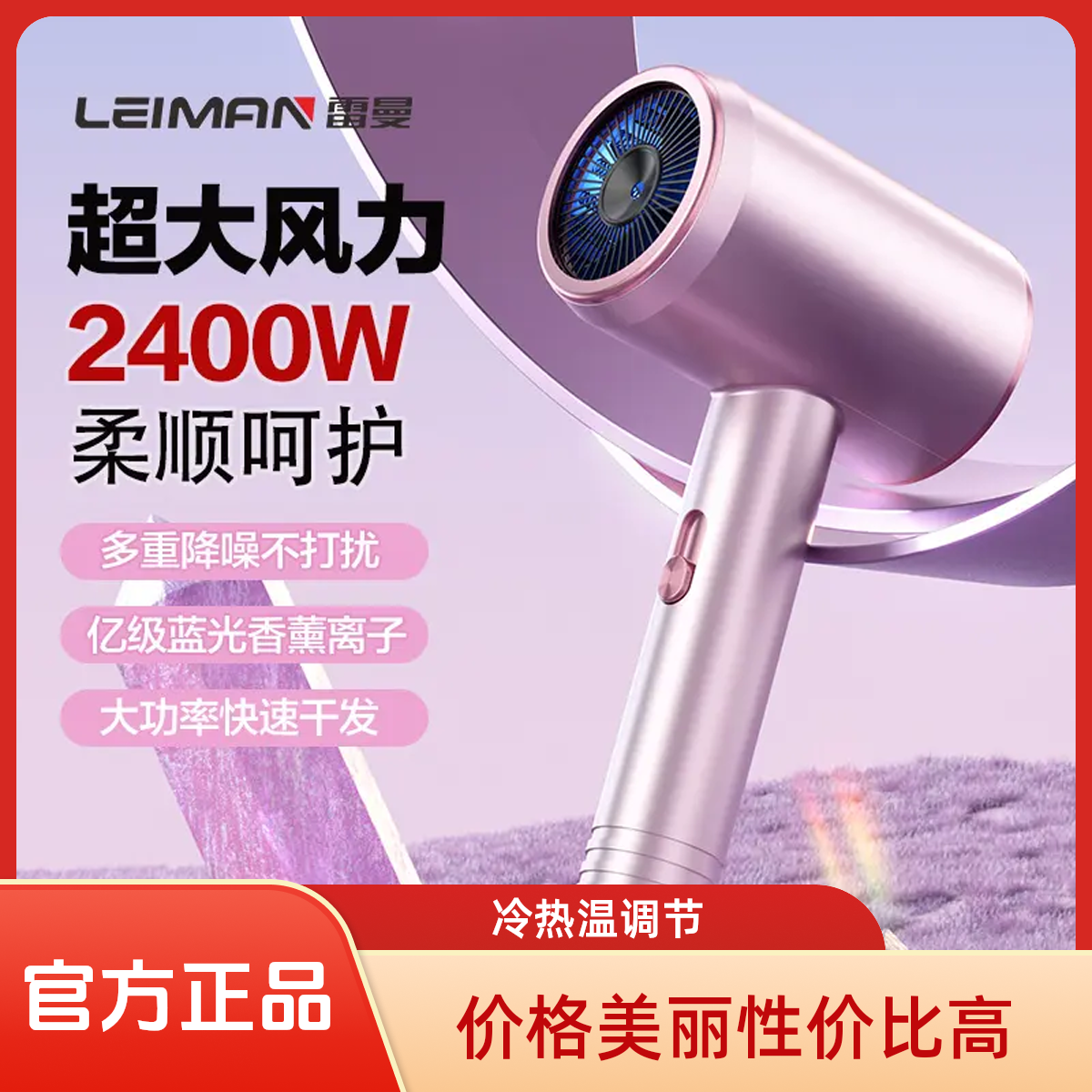 Leiman/雷曼吹风机家用吹头发大风力超静音负离子不伤发电吹风
