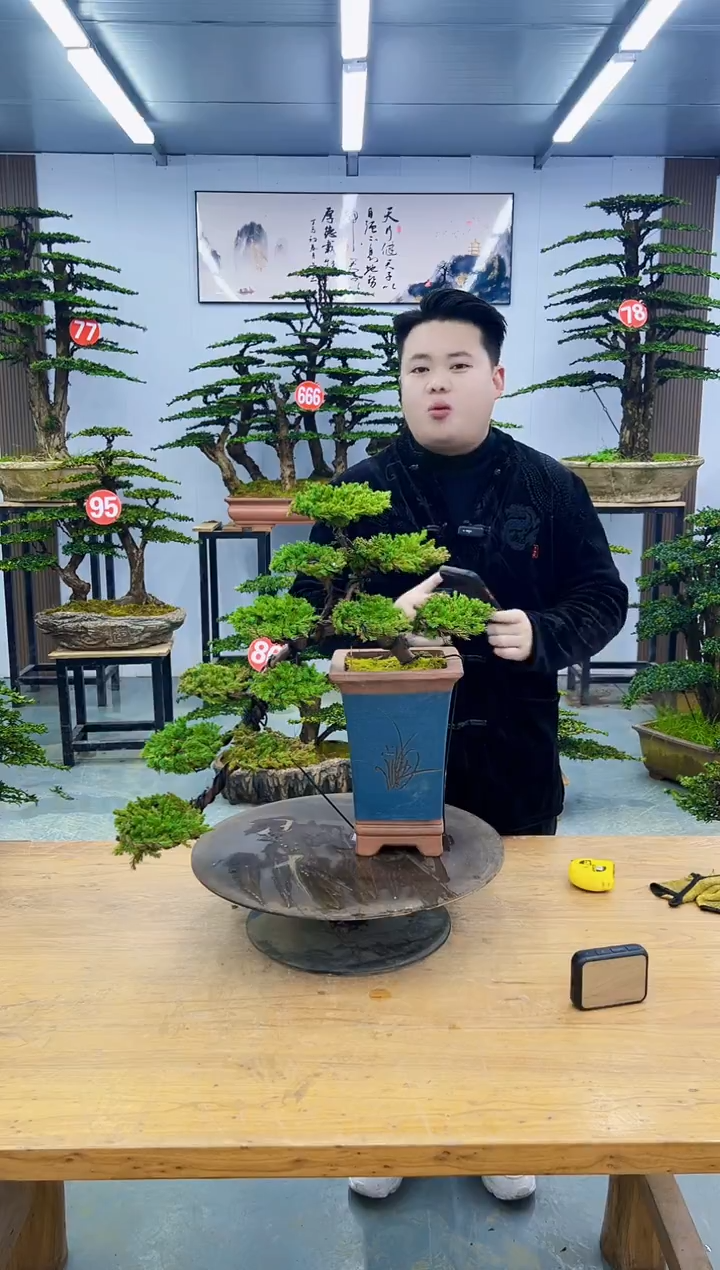 以实际为准000000000000000