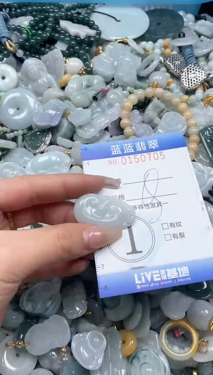 【闪购商品】翡翠颈饰未镶嵌闪购0150705