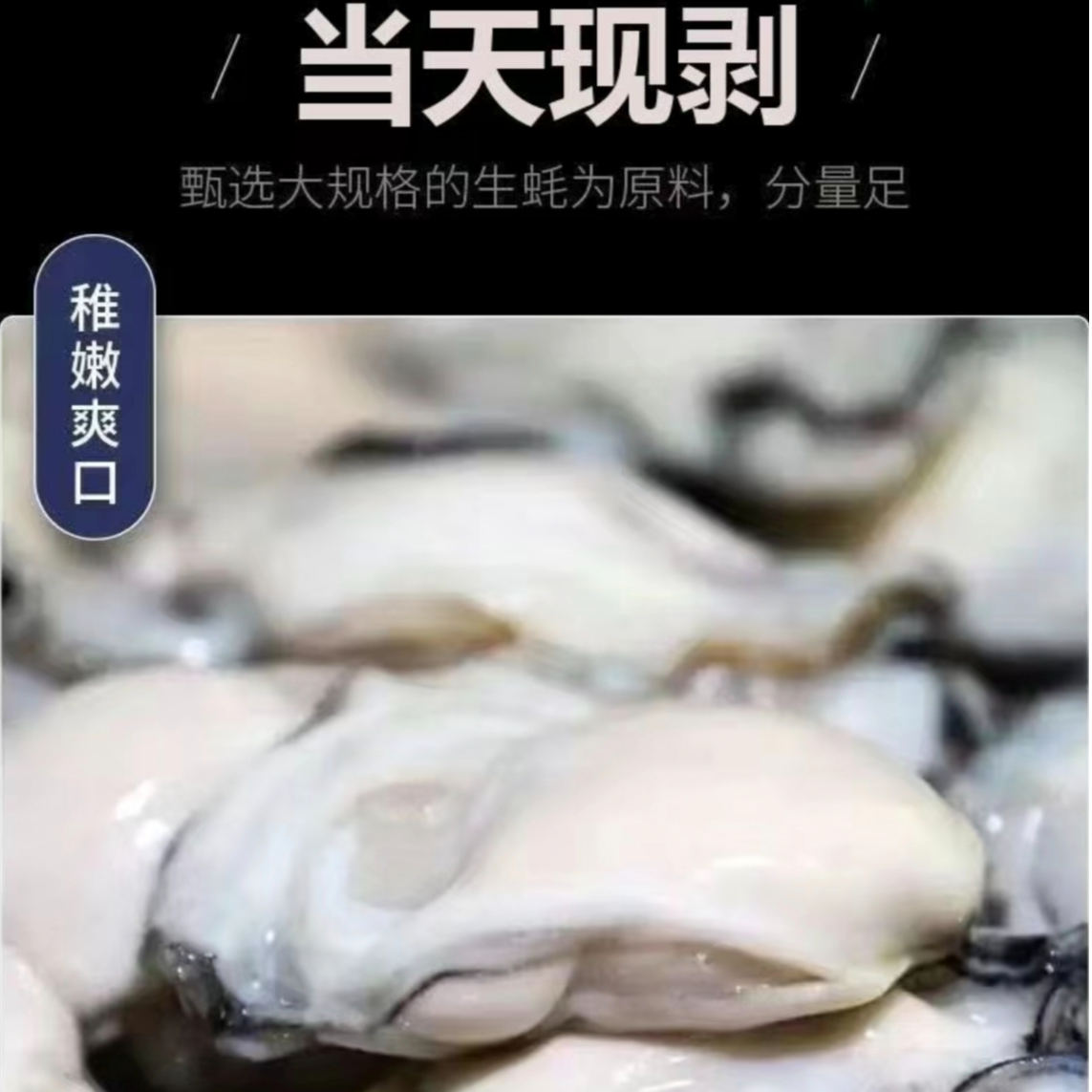 福建东山岛5斤装现开现发长在石头上的野生海蛎肉冷链发货鲜生蚝
