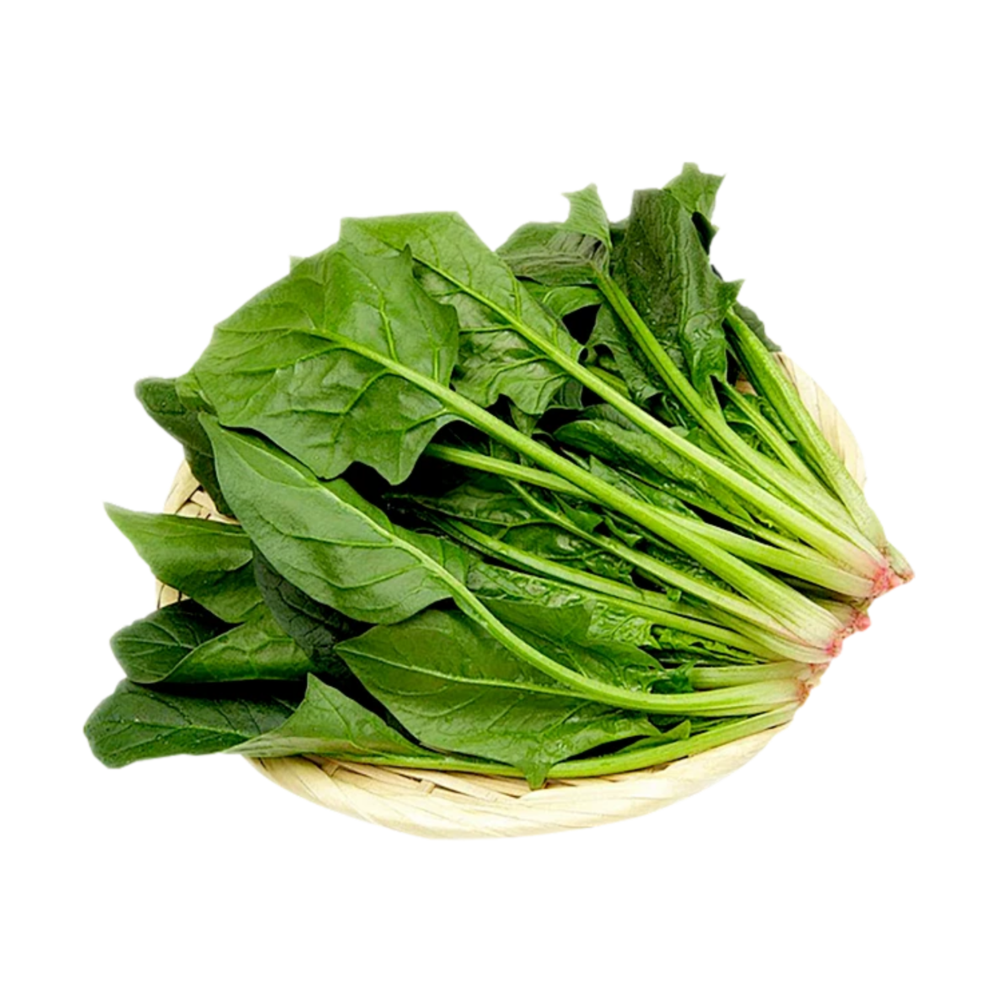 本地菠菜约250g菠菜