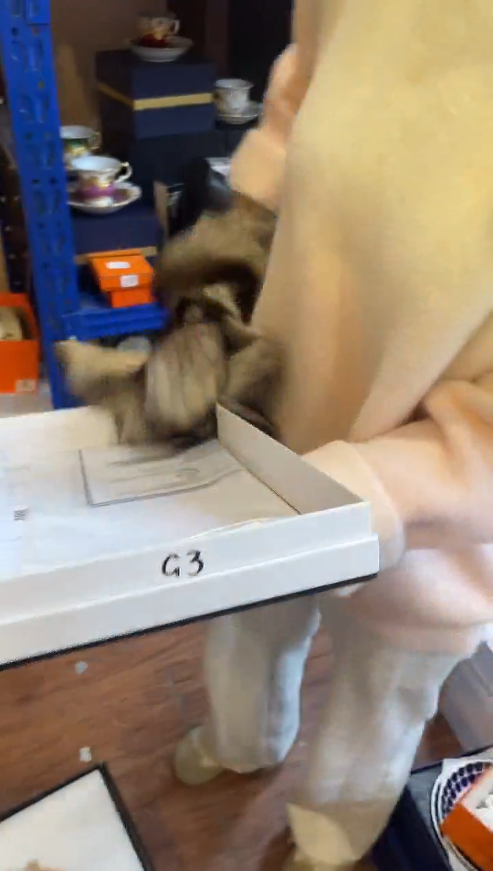 杯鸿辉家品牌瓷器，京东包邮！