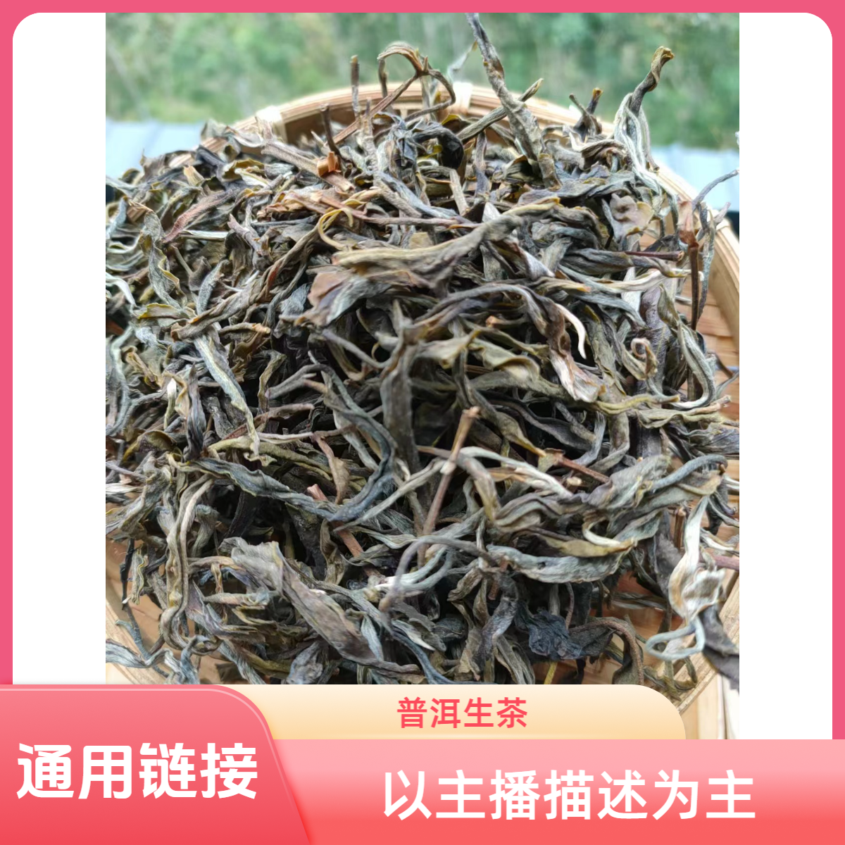 通用链接【糯伍古树 普洱生茶散茶】
