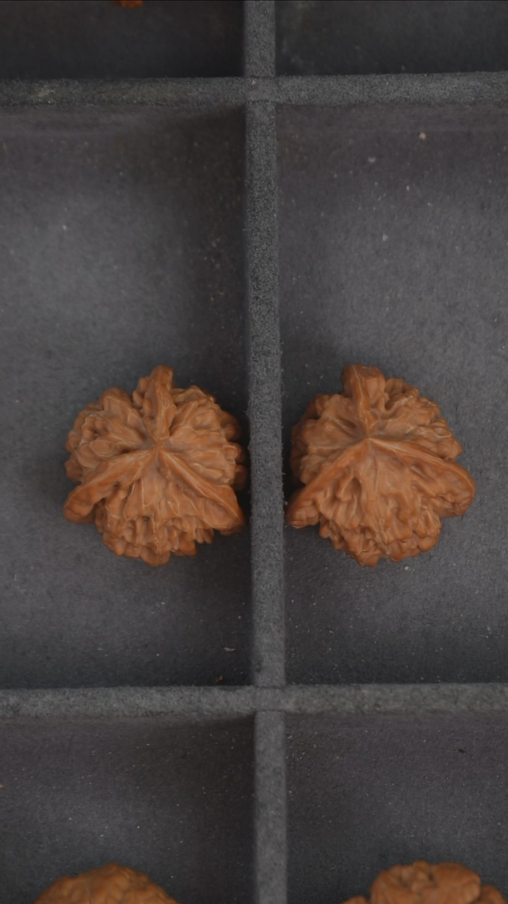 把件文玩核桃尺寸30左右定向盘山三棱