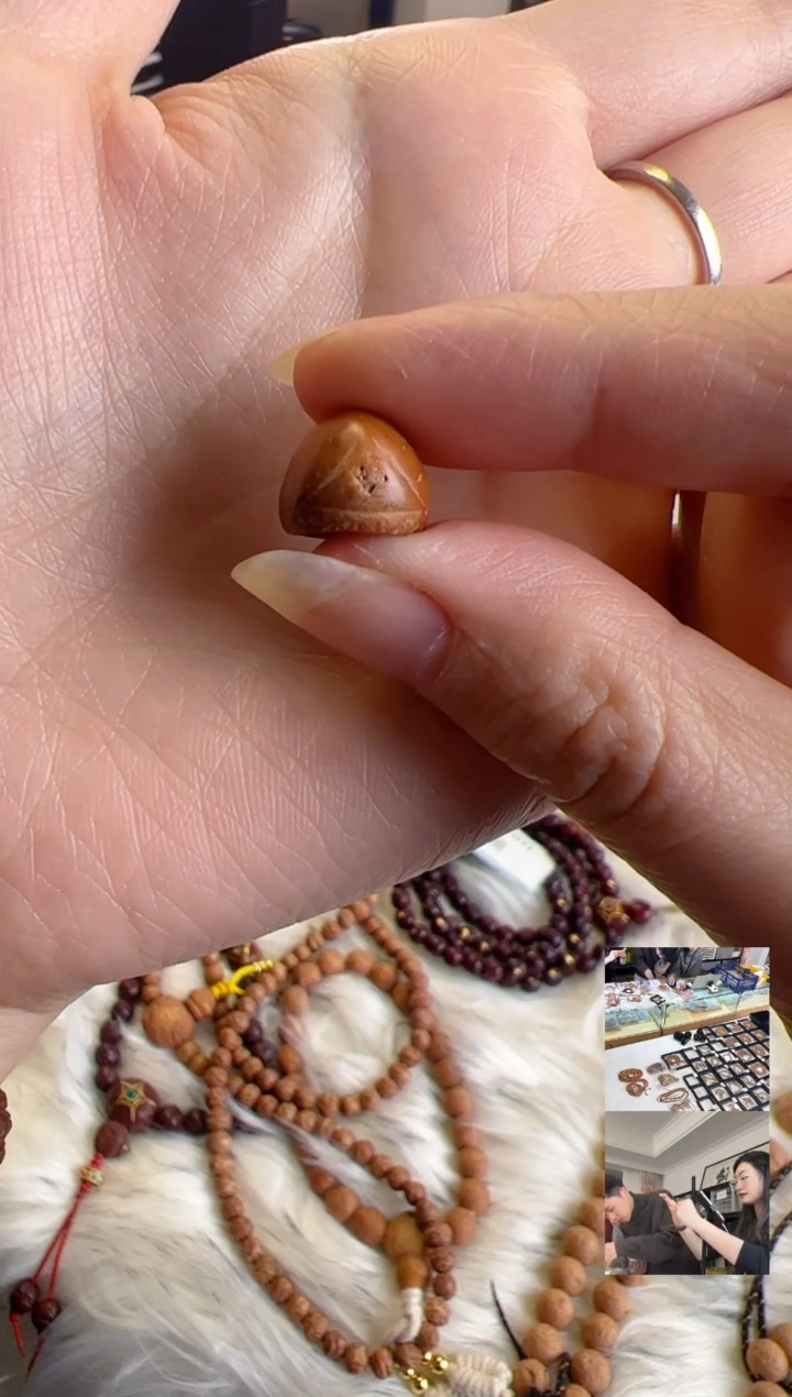 吊坠凤眼菩提4327